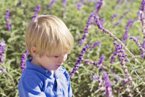 DSC_0893_0437KHP(pp_w900_h600_m1345752763_a62_pBR)