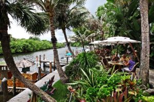 080911_Acc_Guanaba_1423212a