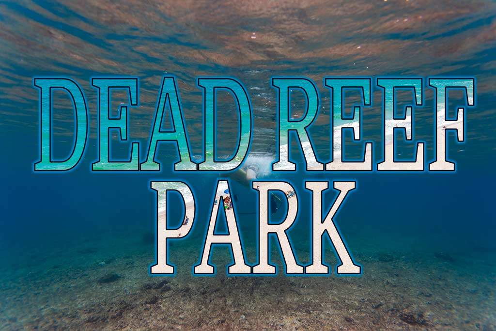 red-reef-park-dead-reef-park-1.jpg