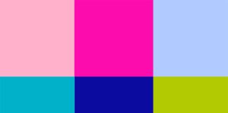 The Canonical Colors of Boca